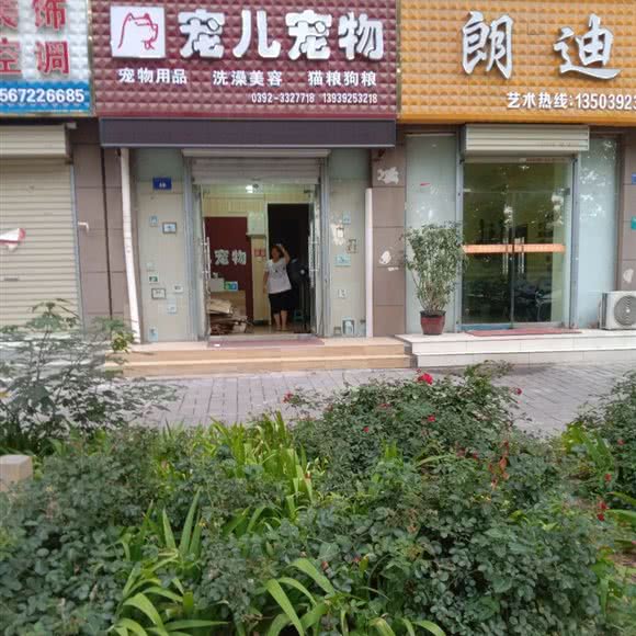 宠儿宠物:鹤壁市淇滨区文化中心/图书馆附近