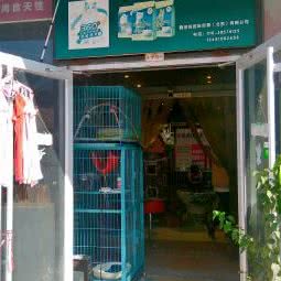 小魏名猫:北京城区朝阳区劲松/潘家园附近