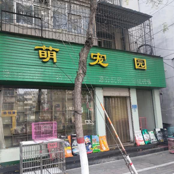 萌宠园:新乡市红旗区东方文化步行街附近