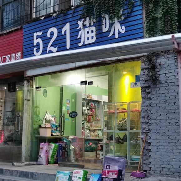 521猫咪(宠乐园分店):新乡市红旗区东方文化步行街附近
