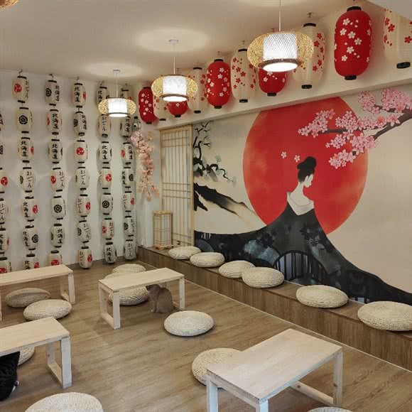 猫遇·日式和服猫园:新乡市红旗区宝龙城市广场附近