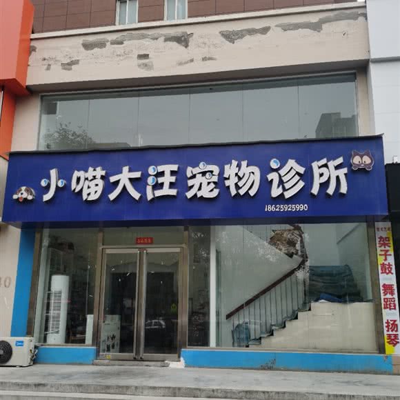 小喵大汪宠物诊所:新乡市红旗区宝龙城市广场附近
