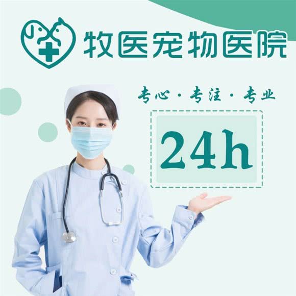 牧医宠物医院:新乡市红旗区百货大楼/大商百货附近