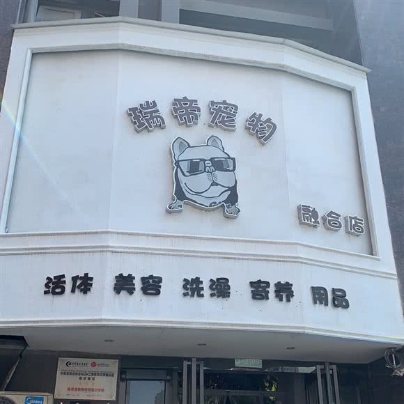 瑞帝宠物融合店:新乡市红旗区胖东来·大胖附近