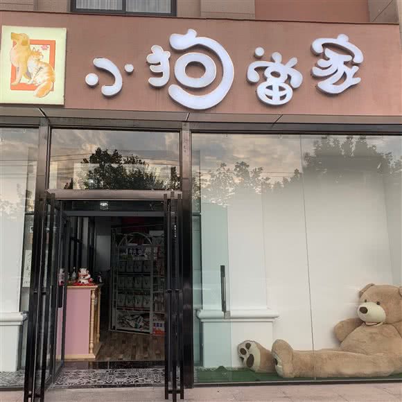 狗当家:新乡市红旗区高新技术开发区附近