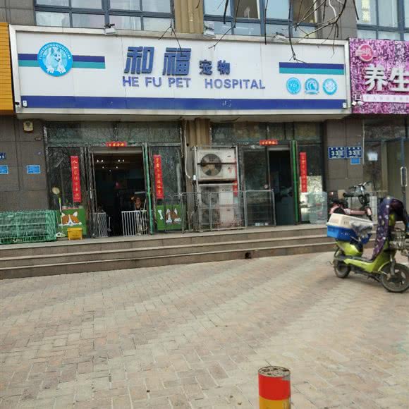 和福宠物医院:新乡市红旗区高新技术开发区附近