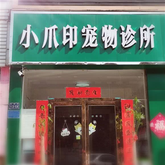 小爪印宠物动物医院:新乡市红旗区高新技术开发区附近