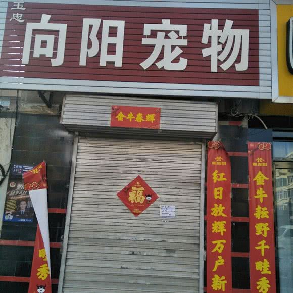 玉忠向阳宠物:新乡市红旗区臧营桥附近