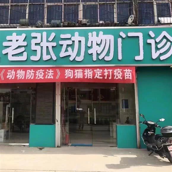 红旗老张动物医院:新乡市红旗区臧营桥附近