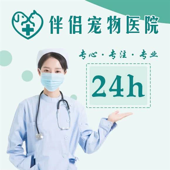 伴侣宠物医院:新乡市红旗区汽车东站附近