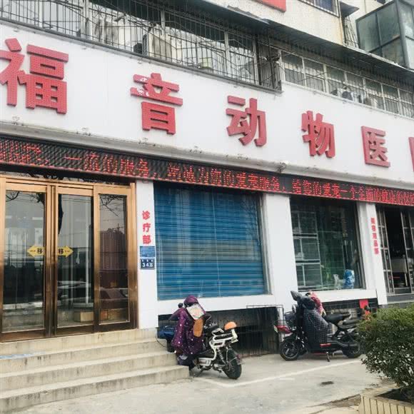 福音动物医院:新乡市红旗区汽车东站附近