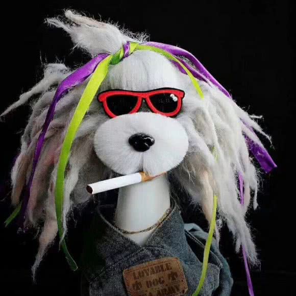 王芳宠物:新乡市卫滨区新乡火车站附近