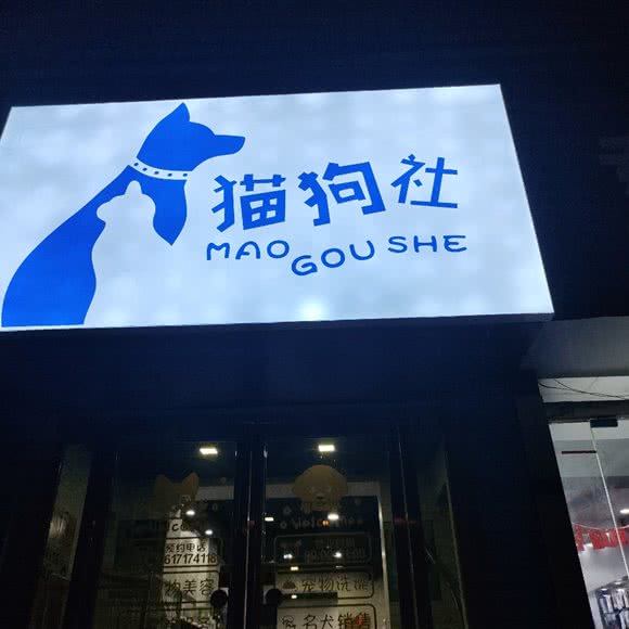 猫狗社:新乡市卫滨区人民路沿线附近