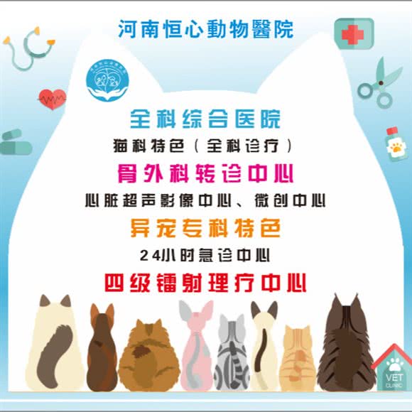 恒心动物医院·24星期中西医结合诊疗中心:新乡市卫滨区人民路沿线附近