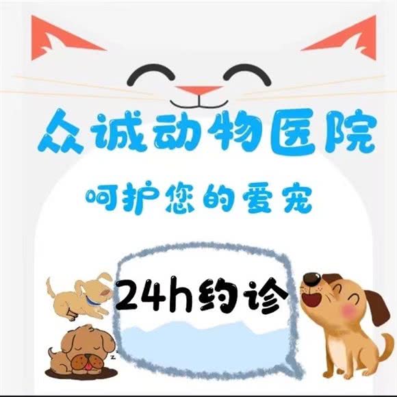 众诚动物医院:新乡市卫滨区化工路/劳动路附近