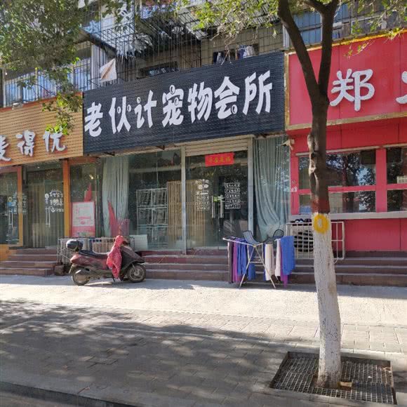 老伙计宠物会所:新乡市牧野区宏力大道沿线附近