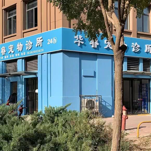 华睿宠物诊所:天津城区河北区铁东路街附近