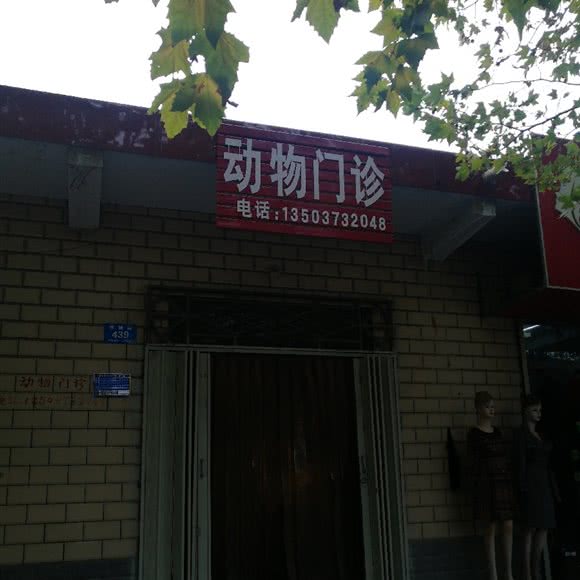 动物门诊:新乡市牧野区河南师范大学附近