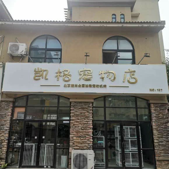 凯格宠物:新乡市牧野区新区附近