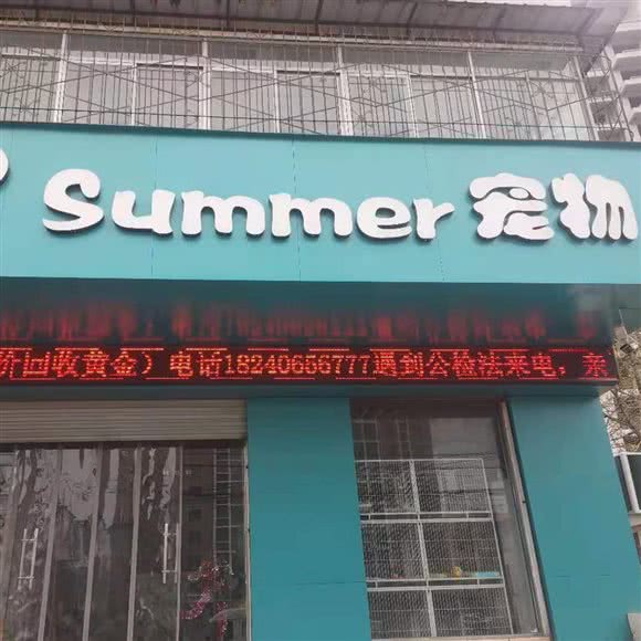 summer宠物:新乡市牧野区铁西附近