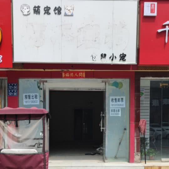 猫不理狗萌宠馆:新乡市牧野区中原路沿线附近