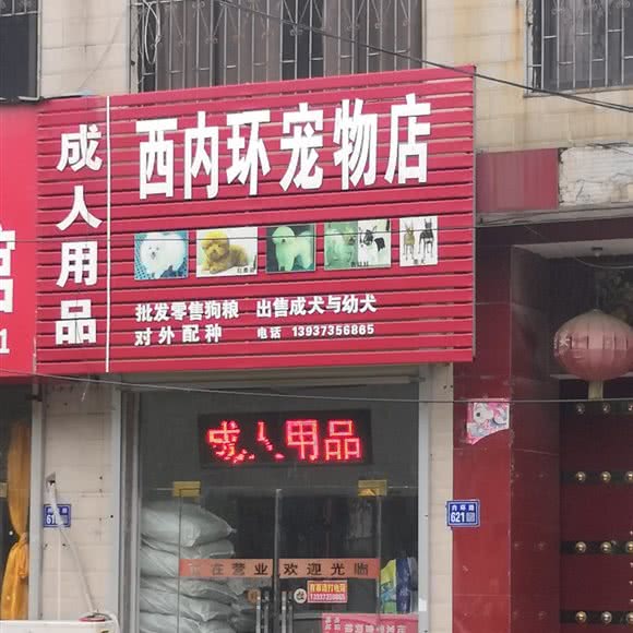 西内环宠物店:新乡市长垣市长垣市附近