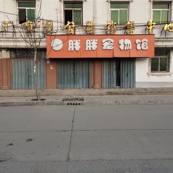 胖胖宠物馆:新乡市长垣市长垣市附近