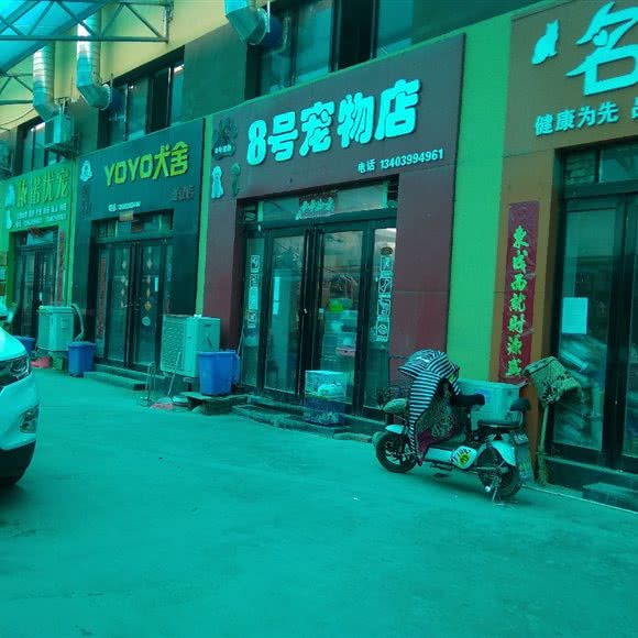 8号宠物店:焦作市解放区锦江现代城附近