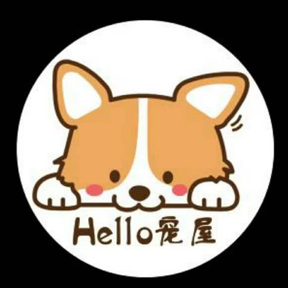 Hello宠屋(王府井店):焦作市解放区王府井附近