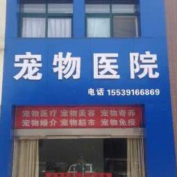 宠康美宠物医院:焦作市解放区王府井附近