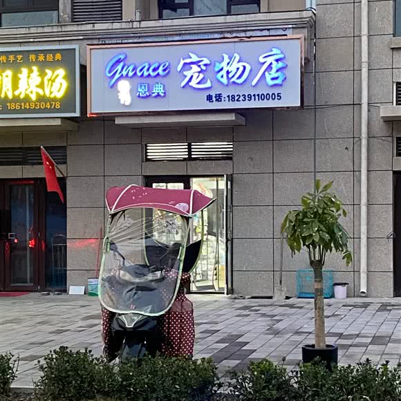 恩典宠物店:焦作市解放区焦作影视城附近