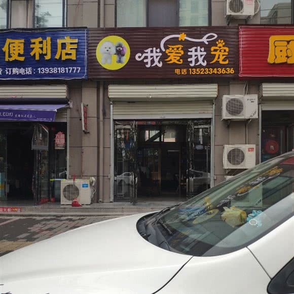 我爱我宠:焦作市解放区焦作影视城附近