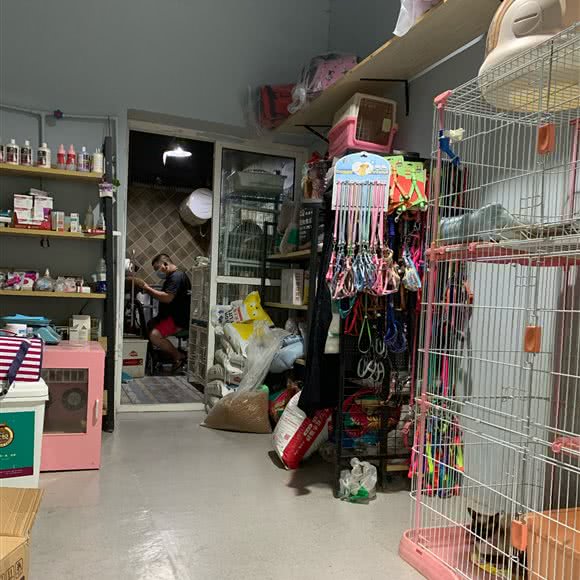 私宠·订制:焦作市解放区新华北街附近