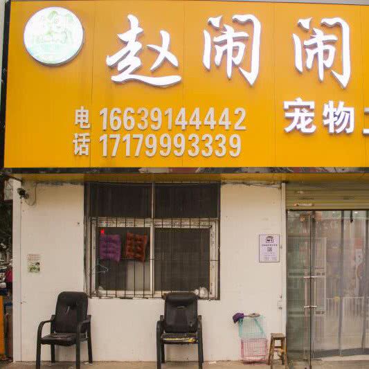 赵闹闹宠物工作室:焦作市山阳区龙源湖附近
