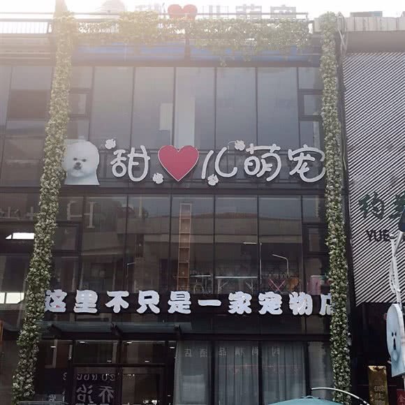 甜心儿宠物:焦作市山阳区龙源湖附近