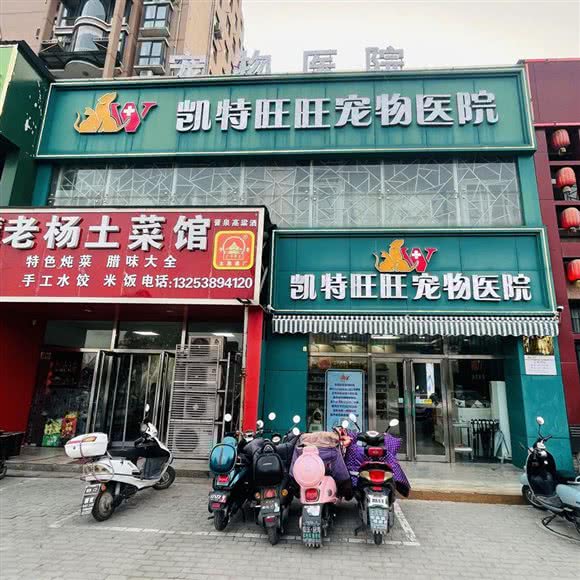 凯特旺旺宠物医院:焦作市山阳区龙源湖附近