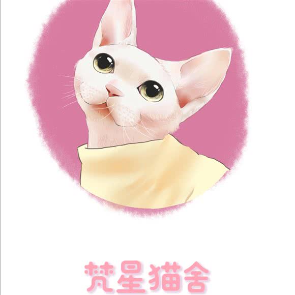 梵星猫舍:焦作市山阳区万新商城附近