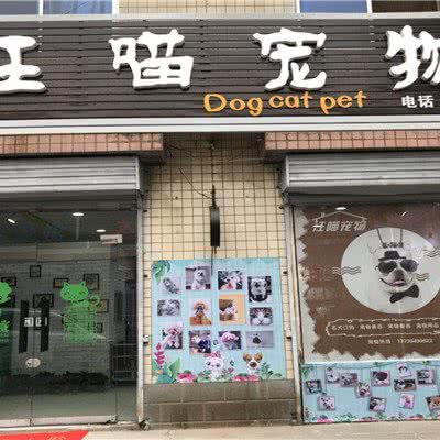 汪喵宠物:焦作市山阳区万新商城附近