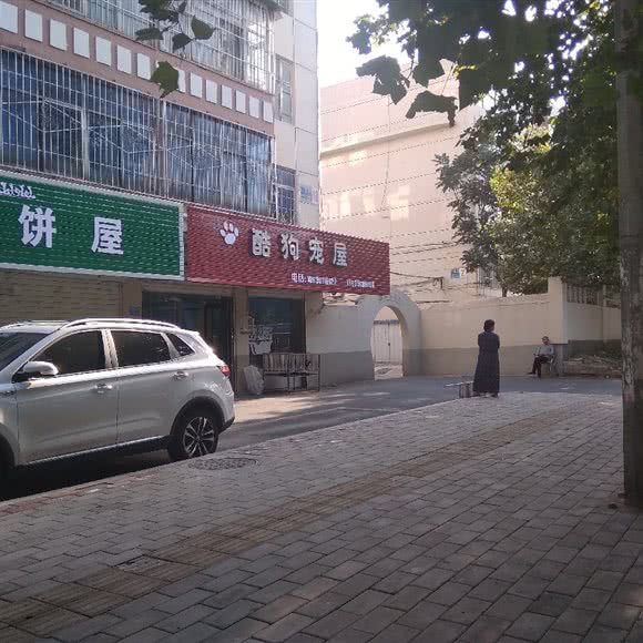 酷狗宠屋:焦作市山阳区东方红附近