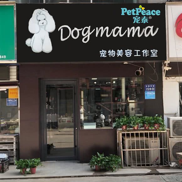Dog mama宠物美发工作室:焦作市山阳区东方红附近