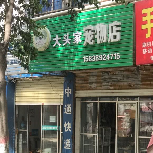 大头家宠物店:焦作市山阳区新东附近
