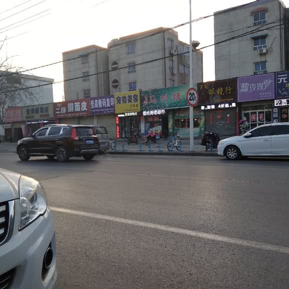 铭瑶萌宠:焦作市山阳区九一医院附近