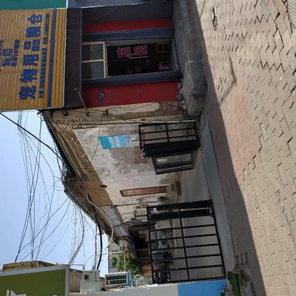 派得宠物用品粮仓:濮阳市华龙区新银座附近