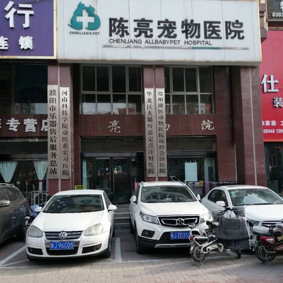 华龙区犬猫疫苗定点注射医院:濮阳市华龙区新银座附近