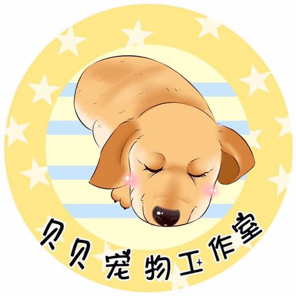 它它宠物·TT猫咖:濮阳市华龙区丹尼斯附近