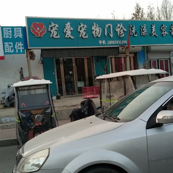 宠爱宠物门诊:濮阳市华龙区戚城公园附近