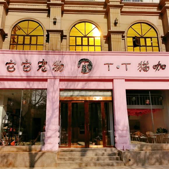 它它宠物T·T 猫咖(万嘉店):濮阳市华龙区万嘉360附近