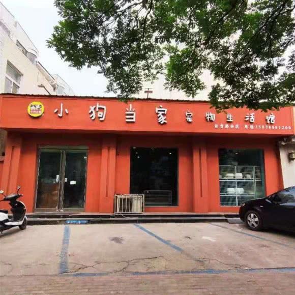 小狗当家宠物生活馆(议台路店):许昌市魏都区东城区附近