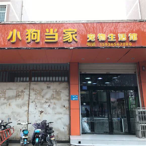 小狗当家宠物生活馆(学府街店):许昌市魏都区东城区附近