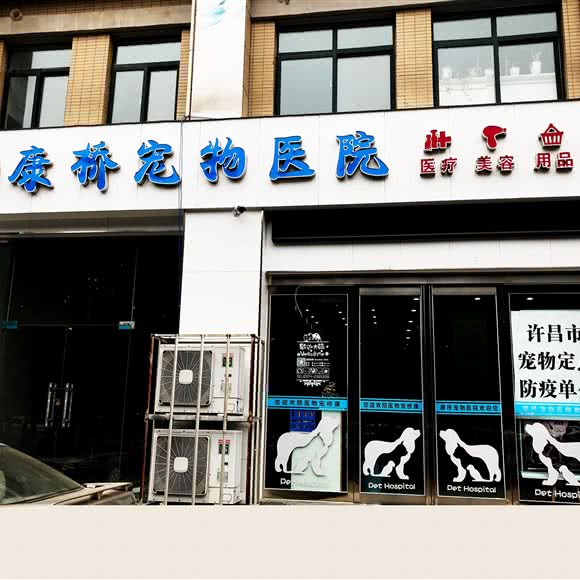康桥宠物医院:许昌市魏都区东城区附近
